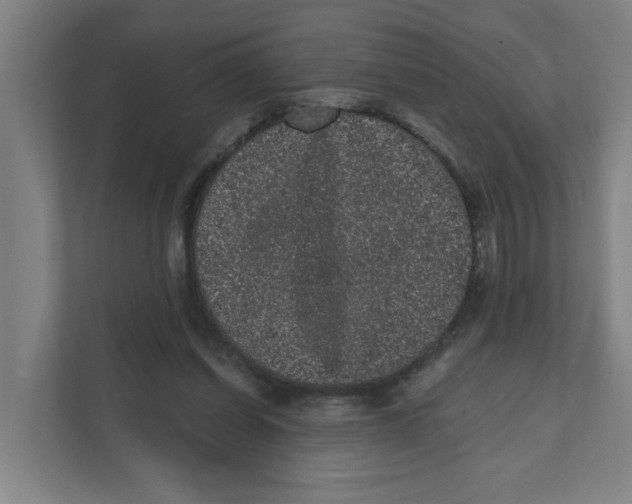 X0000111460254200908101100