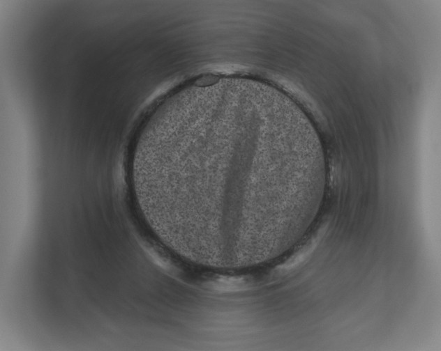 X0000111460256200908101100
