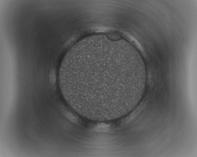 X0000111460257200908101100