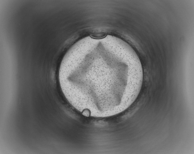 X0000111460258200908101100