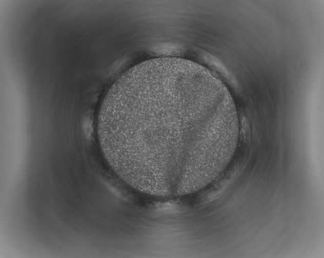 X0000111460259200908101100