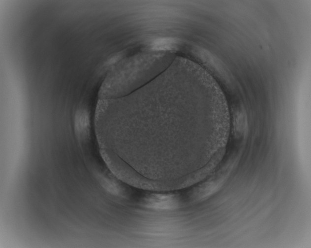 X0000111460260200908101100