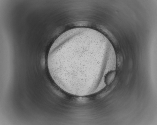 X0000111460261200908101100