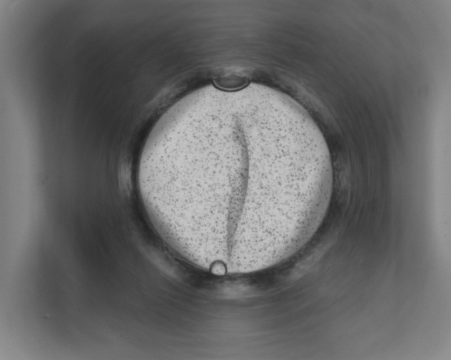 X0000111460262200908101100