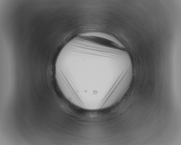 X0000111460264200908101100