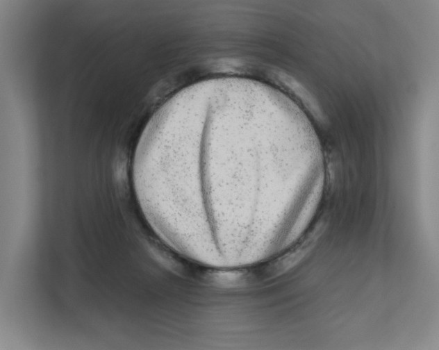 X0000111460265200908101100