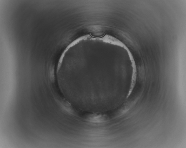 X0000111460267200908101100