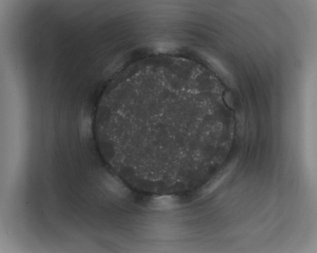 X0000111460269200908101100