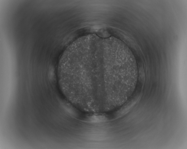 X0000111460270200908101100