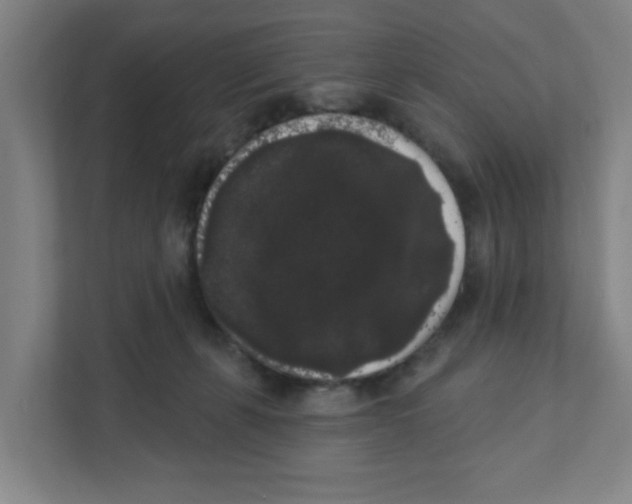 X0000111460271200908101100