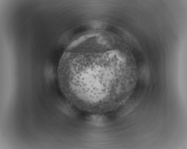 X0000111460272200908101100