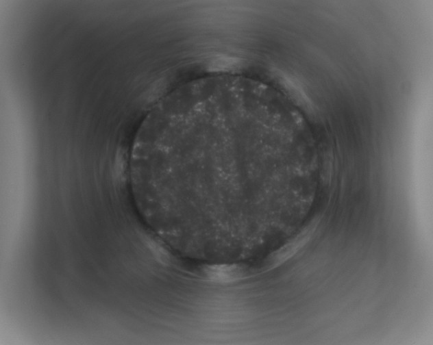 X0000111460273200908101100