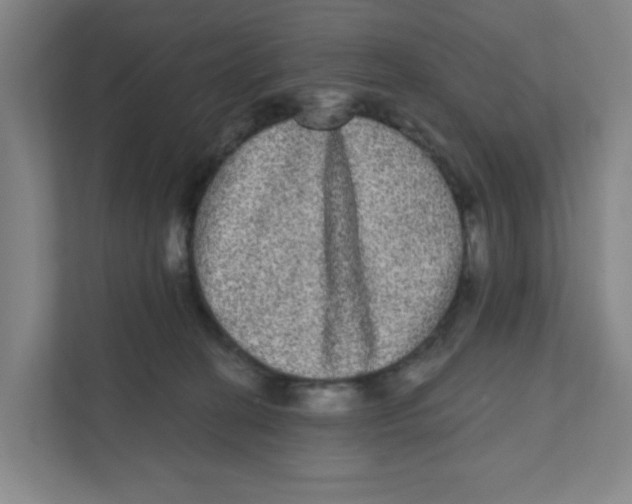 X0000111460274200908101100