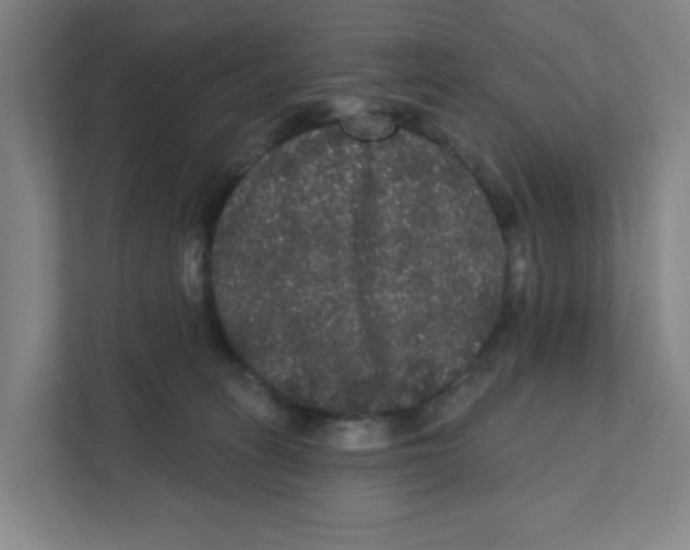 X0000111460275200908101100