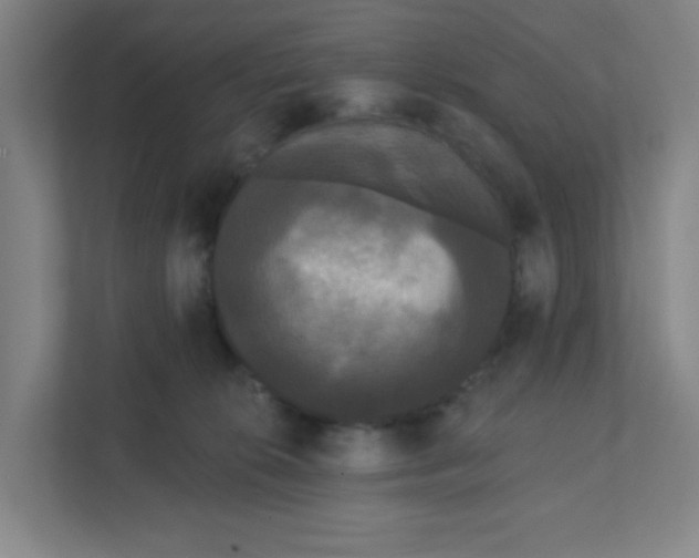 X0000111460276200908101100