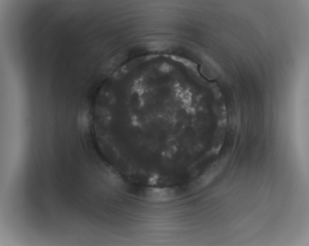 X0000111460277200908101100