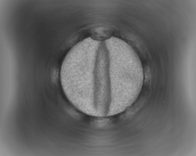 X0000111460278200908101100