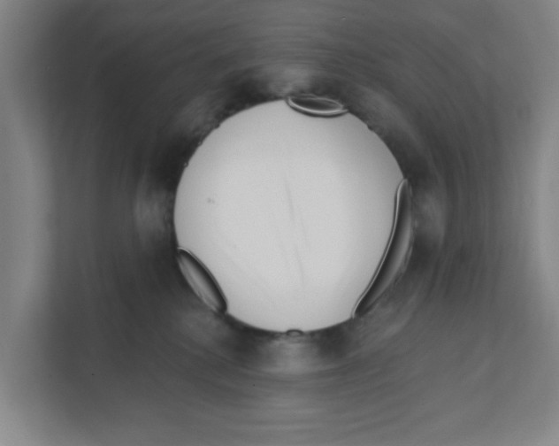 X0000111460280200908101100