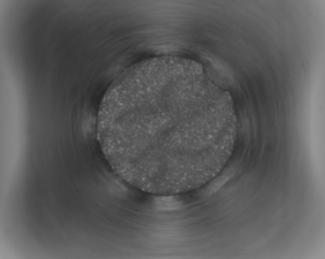 X0000111460281200908101100