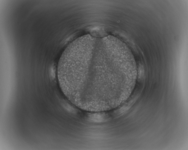 X0000111460282200908101100