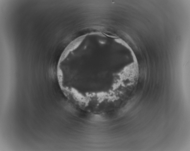 X0000111460285200908101100