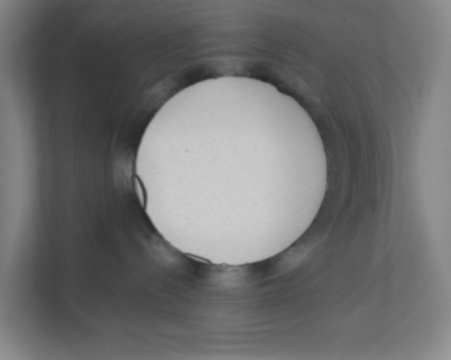 X0000111460288200908101101