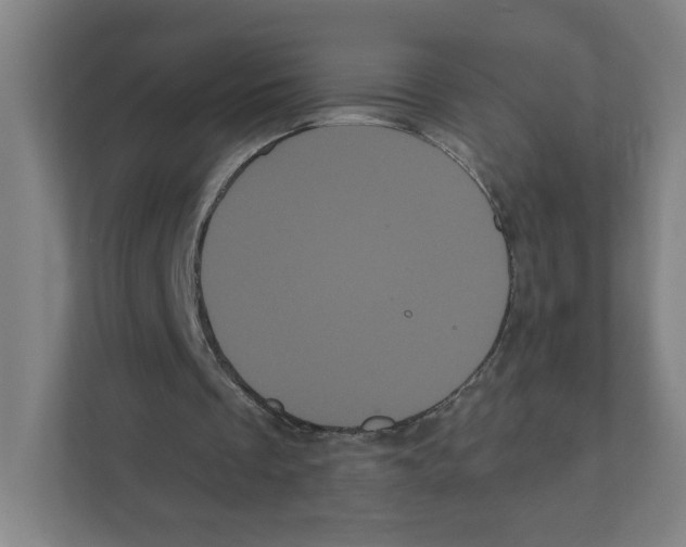X0000111460289200908101100