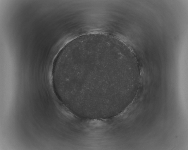 X0000111460290200908101100
