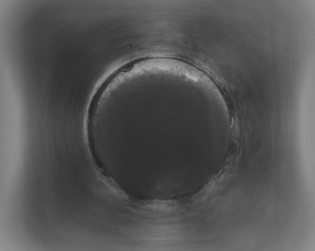 X0000111460292200908101100