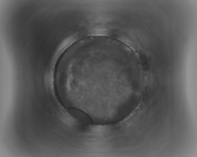 X0000111460293200908101100