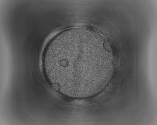X0000111460294200908101100