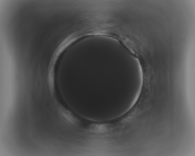 X0000111460295200908101100
