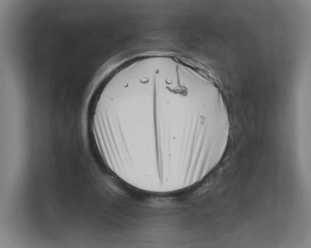 X0000111460296200908101100