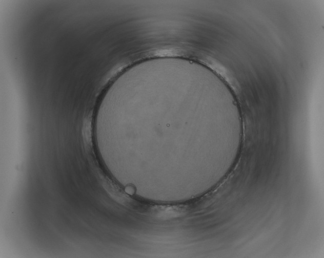 X0000111460297200908101100