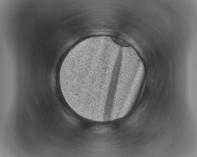X0000111460299200908101100