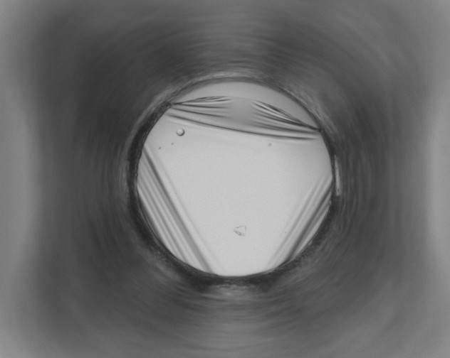 X0000111460300200908101100