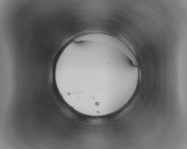 X0000111460301200908101100