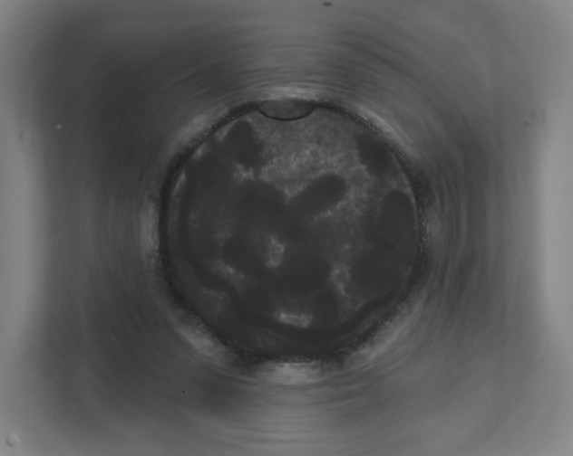X0000111460303200908101100