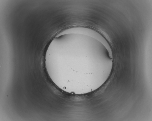 X0000111460305200908101100