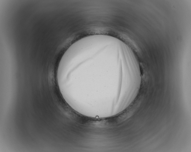 X0000111460306200908101100