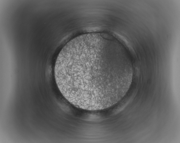 X0000111460308200908101100