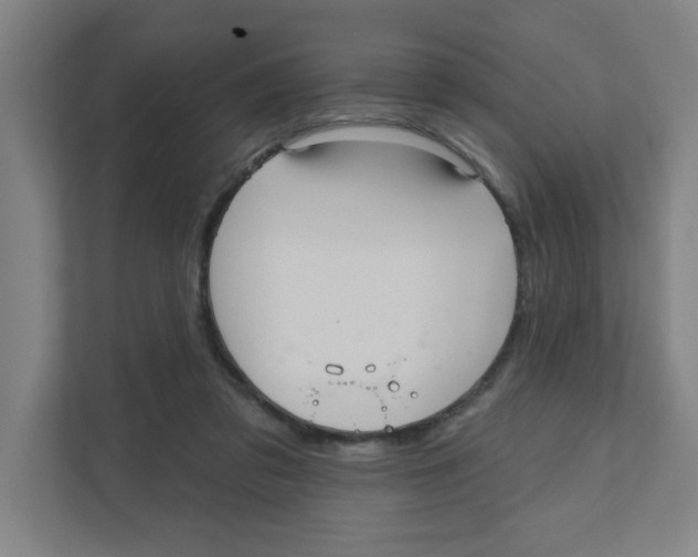 X0000111460309200908101100
