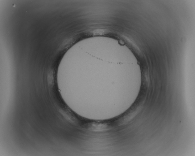 X0000111460311200908101100