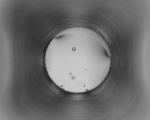 X0000111460313200908101100