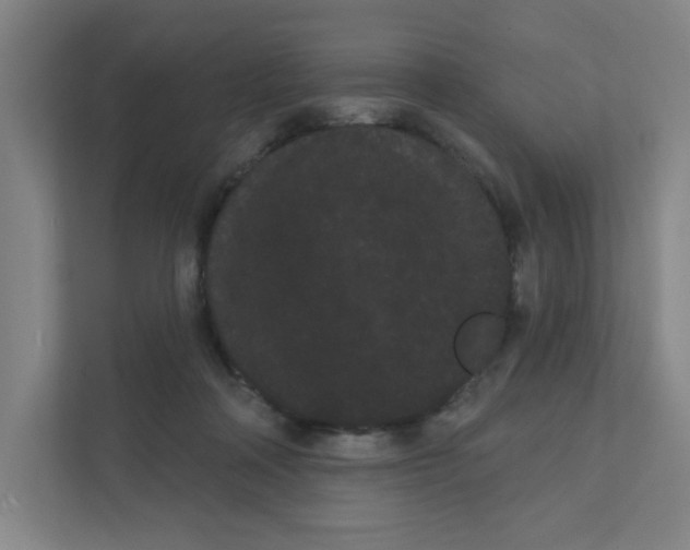 X0000111460314200908101100