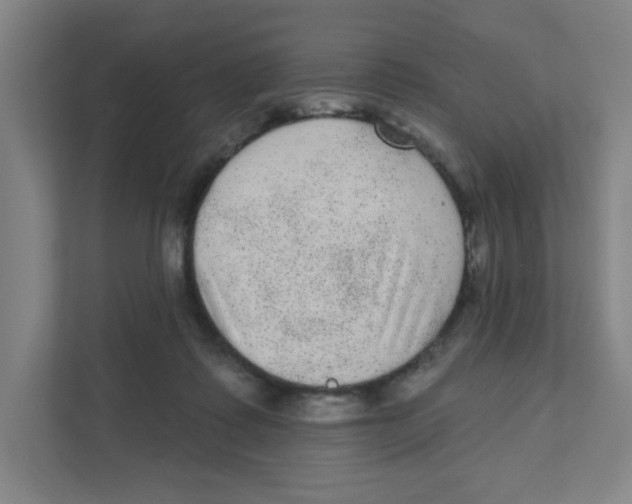 X0000111460315200908101100
