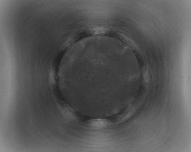 X0000111460316200908101100