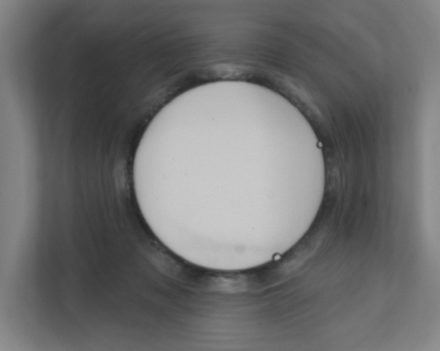 X0000111460317200908101100