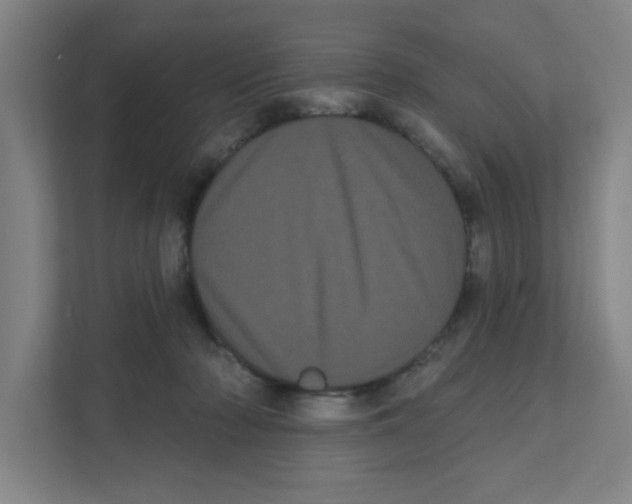 X0000111460318200908101100