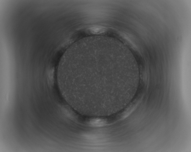 X0000111460319200908101100